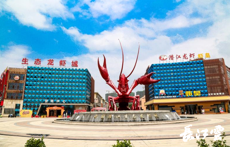 潜江招聘信息指南：如何找到你的第一份工作