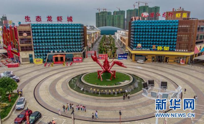 在潜江找工作：行业趋势与实际案例分析